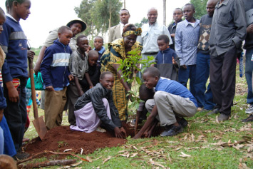 Community-based Sustainable Forest  Management